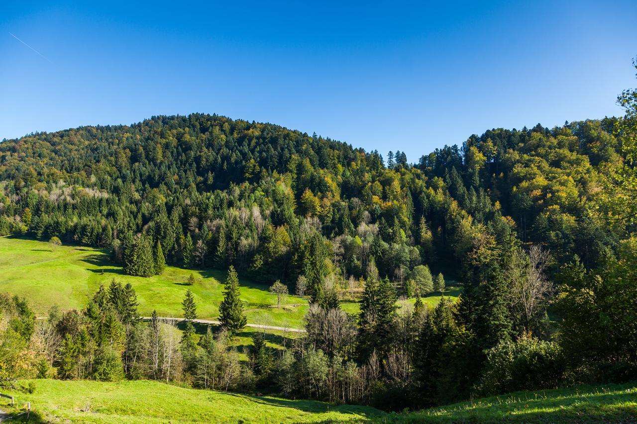 Hotel Bad Rain Mit Oberstaufen Plusgolf Kültér fotó