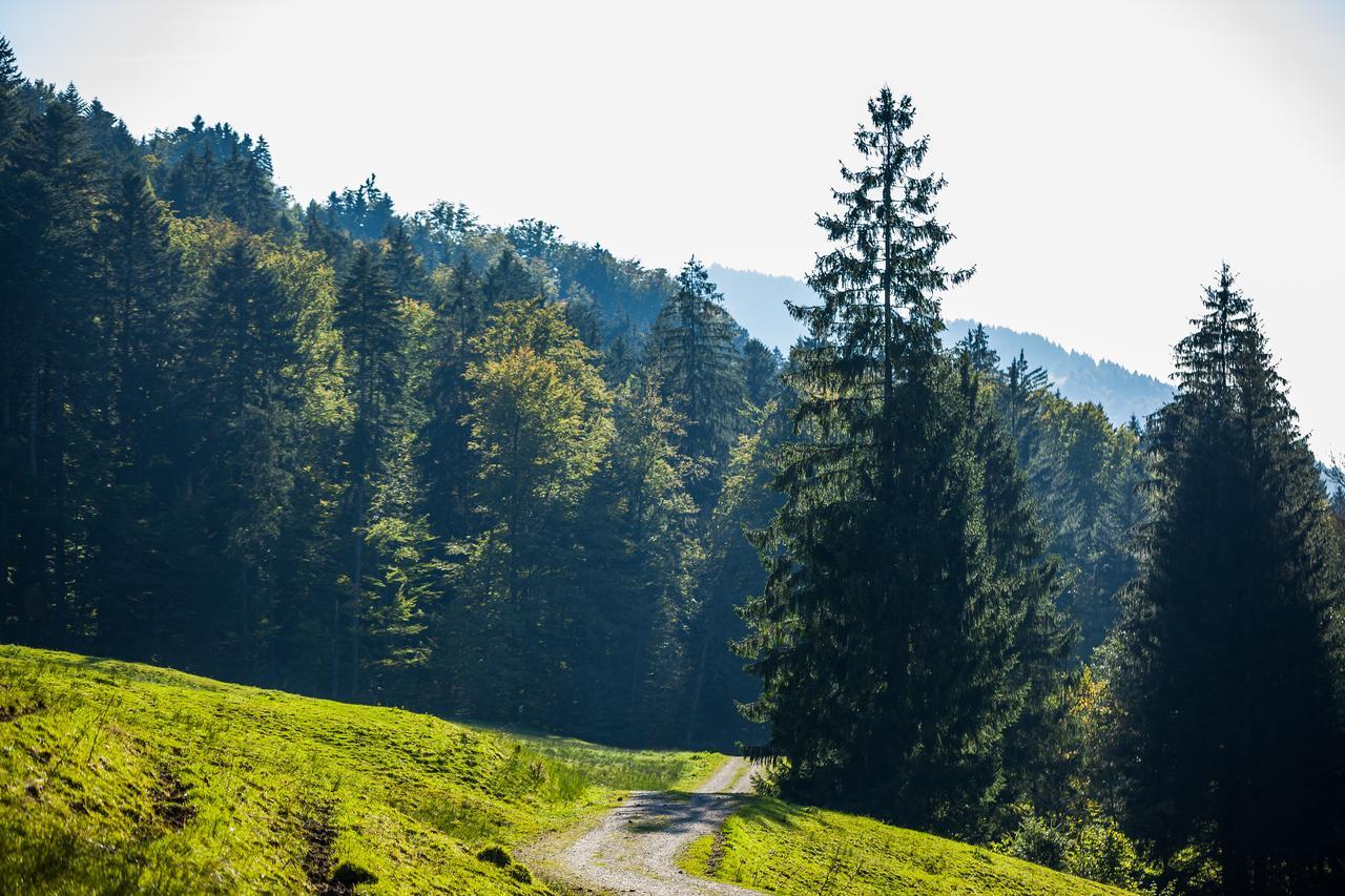 Hotel Bad Rain Mit Oberstaufen Plusgolf Kültér fotó